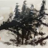 PINE FOREST I by ROBERT GALICK