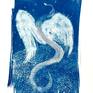 Collection cyanotypes