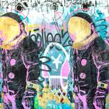 Collection Limited Spring 2 2019