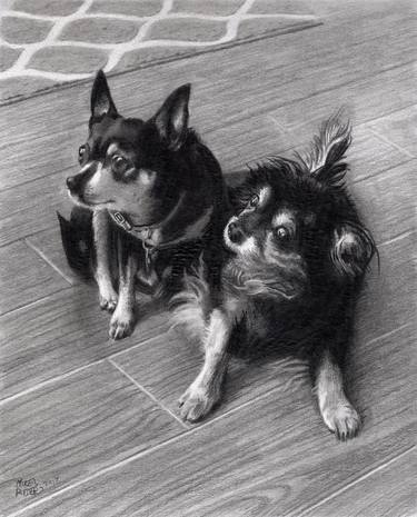 Original Dogs Drawings by Mike Rider