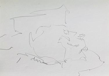 Original Animal Drawings by Jane du Brin