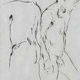 Collection New Nudes