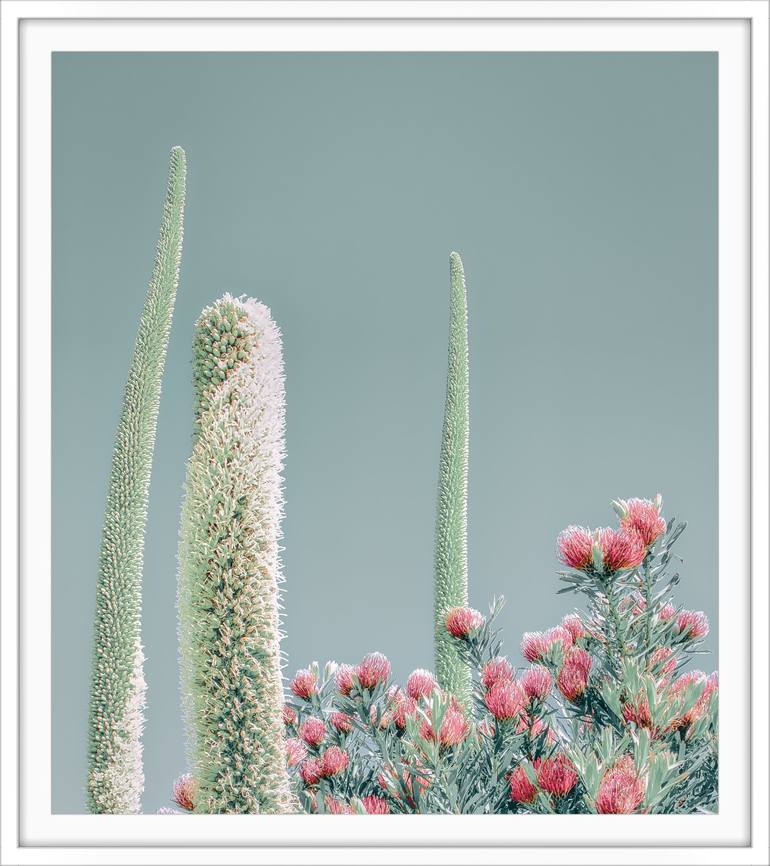 Original Contemporary Botanic Photography by Kristin Hart