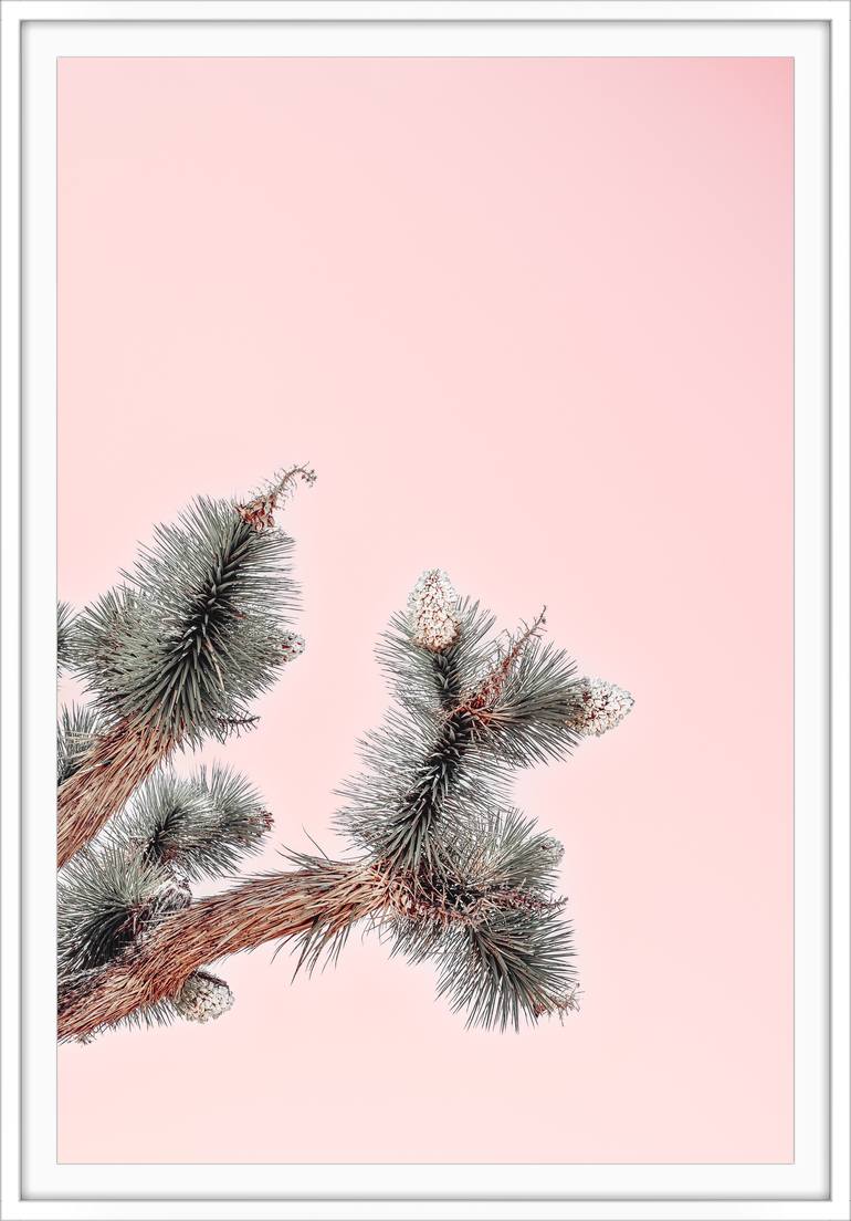 Original Contemporary Nature Photography by Kristin Hart