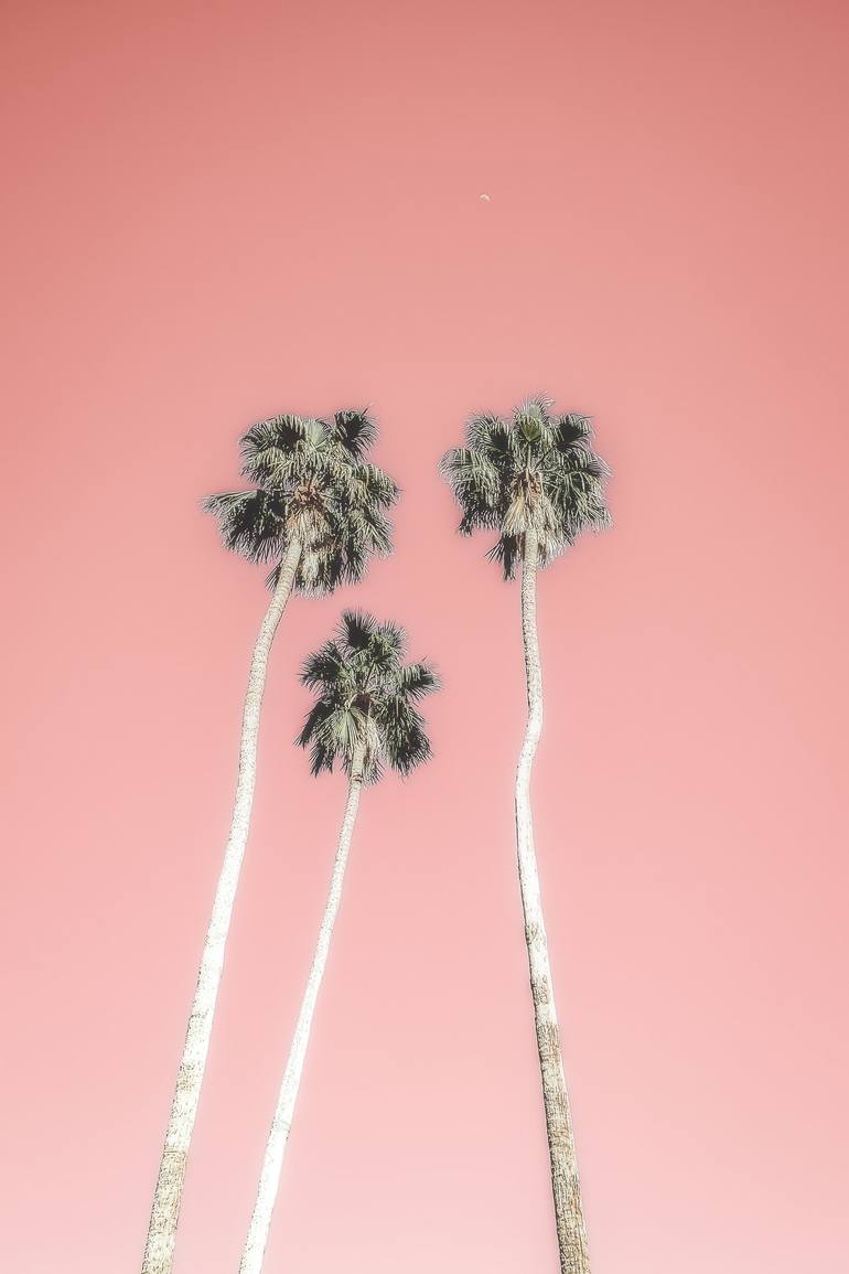 Original Contemporary Nature Photography by Kristin Hart