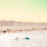 Collection Best of December