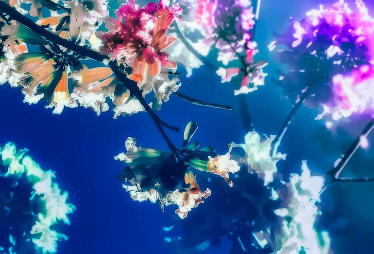 Original Contemporary Botanic Photography by Kristin Hart