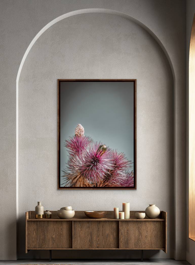 Original Contemporary Botanic Photography by Kristin Hart