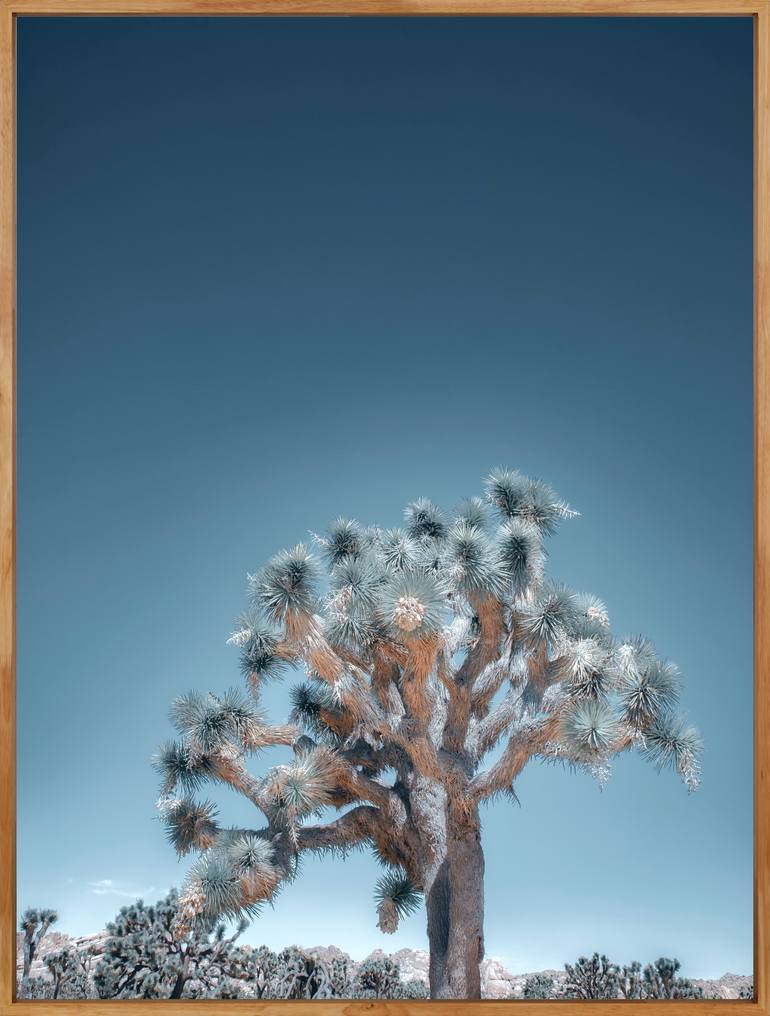 Original Contemporary Landscape Photography by Kristin Hart
