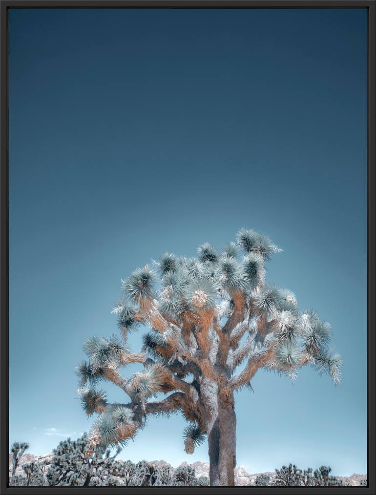 Original Contemporary Landscape Photography by Kristin Hart