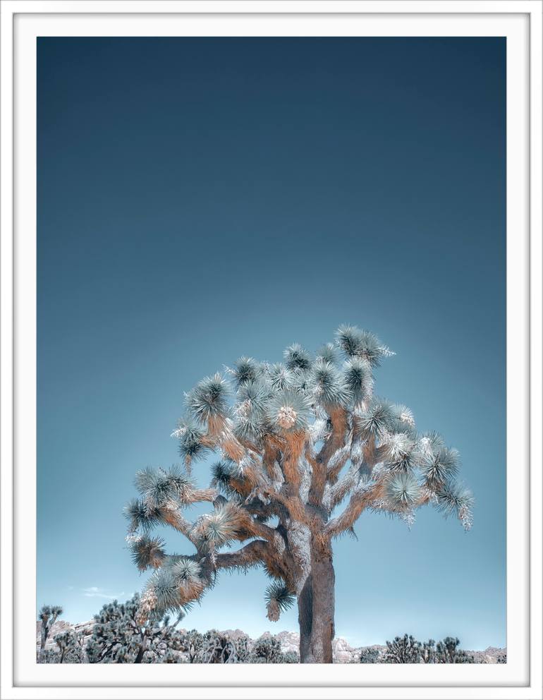Original Contemporary Landscape Photography by Kristin Hart