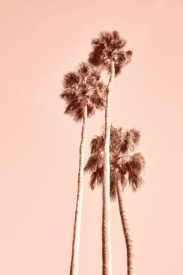 Original Contemporary Nature Photography by Kristin Hart