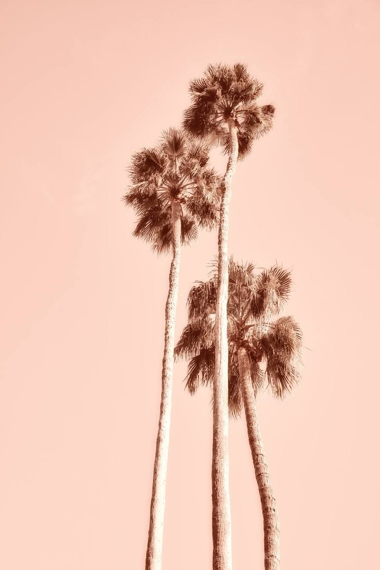 Original Contemporary Nature Photography by Kristin Hart