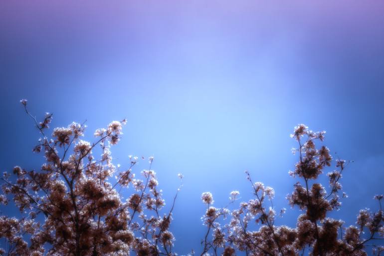 Original Contemporary Light Photography by Kristin Hart