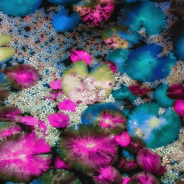 Original Abstract Patterns Photography by Kristin Hart
