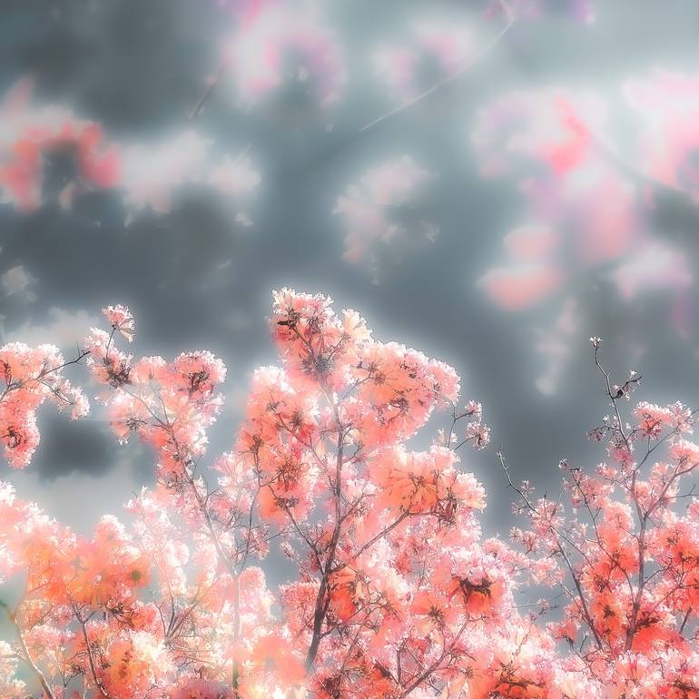 Original Contemporary Botanic Photography by Kristin Hart