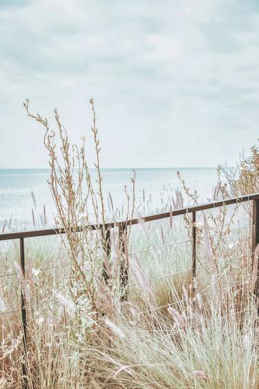 Original Contemporary Nature Photography by Kristin Hart