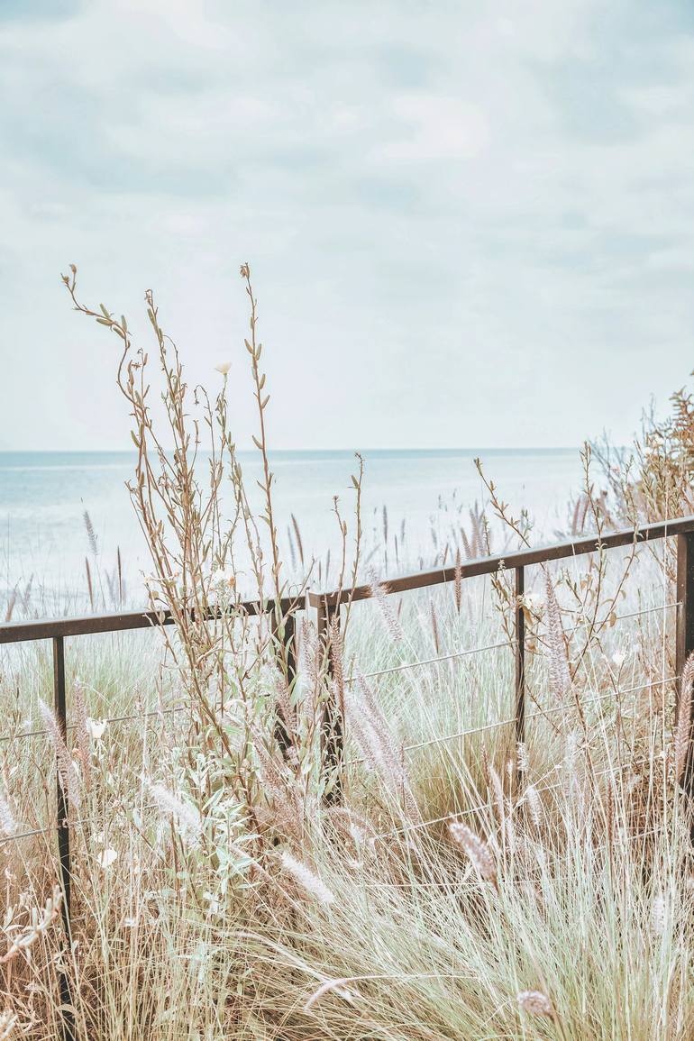 Original Contemporary Botanic Photography by Kristin Hart