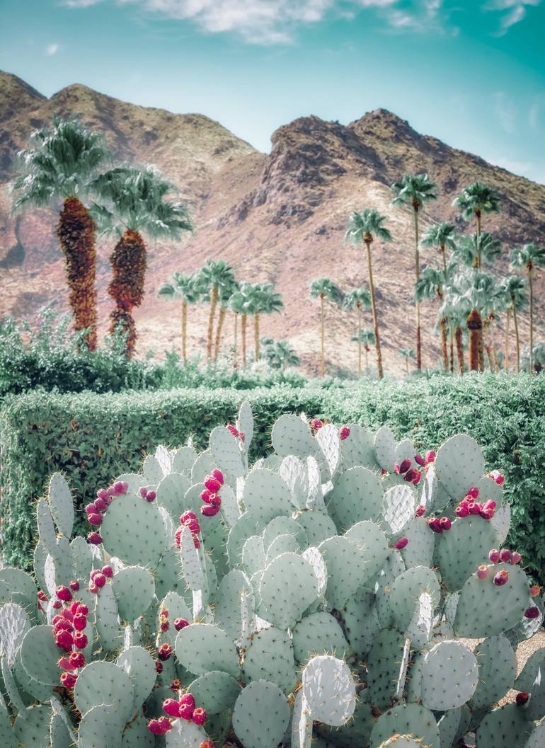 PALM SPRINGS - DESERT SAGE - Limited Edition of 20 Photography by ...