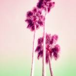 poolside popsicles by Kristin Hart