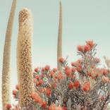 summer light by Kristin Hart