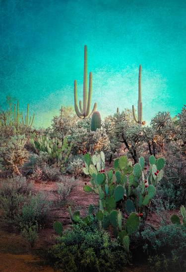 Original Fine Art Landscape Photography by Kristin Hart