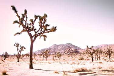 Original Fine Art Landscape Photography by Kristin Hart