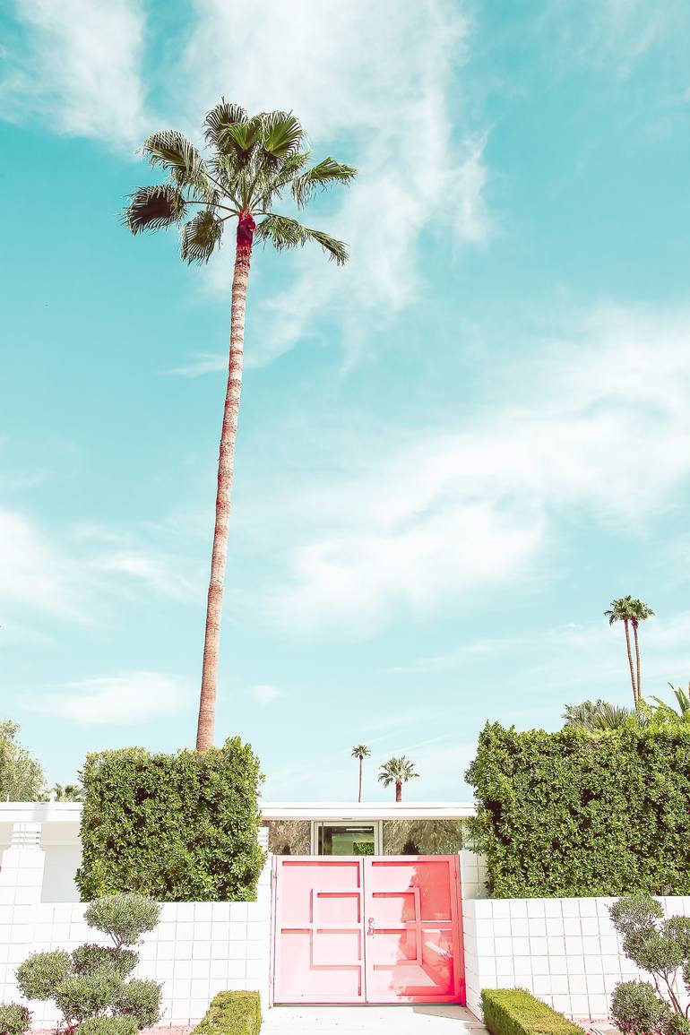 Palm Tree in Palm Springs Photograph, Retro California Photography, Desert Architecture Photo, Pink Palm discount Tree