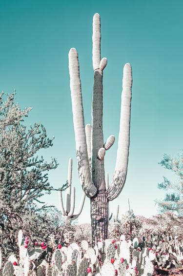 SAGUARO DESERT - TURQUOISE - Limited Edition of 20 thumb