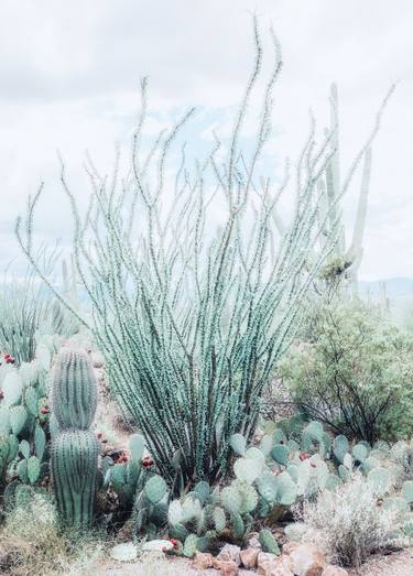 DESERT GARDEN - AQUAMARINE - Limited Edition of 10 thumb