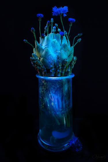 'Artichoke' 3/10 photographed in special ultra violet light, signed - Limited Edition of 10 thumb