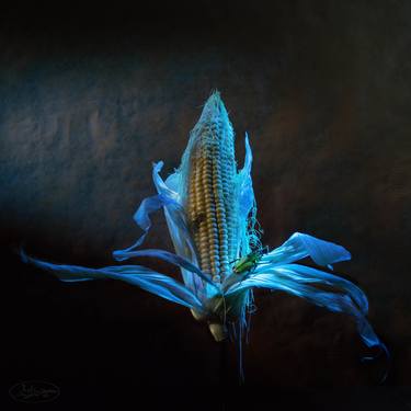 'Corn' 1/10 photographed in special ultra violet light, signed - Limited Edition of 10 thumb