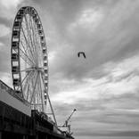 Visions of Atlantic City 2026 #3 by Kenneth Laurence Neal