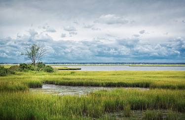 Print of Fine Art Nature Photography by Kenneth Laurence Neal