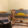 Still life set up