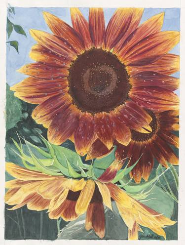 Print of Realism Floral Paintings by James Wall