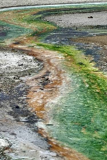 Emerald & Ochre, Norris Basin, Yellowstone National Park, Left Panel thumb