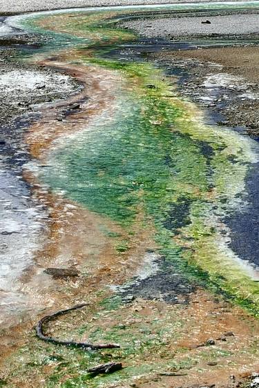 Emerald & Ochre,  Norris Basin, Yellowstone National Park, Center Panel thumb