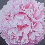 Tender But Strong by Christiane Kingsley
