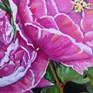 Detail2