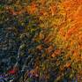 This work was painted with a palette knife for thickness.