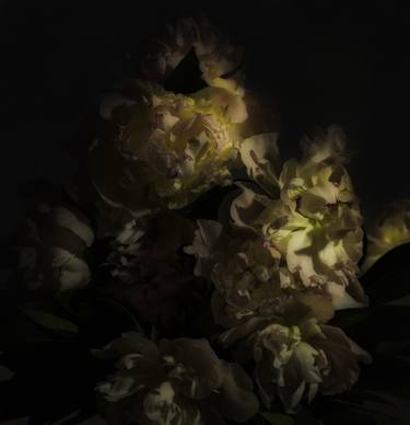 Flowers on the dark background - Limited Edition 1 of 25 thumb