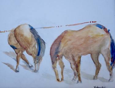 Original Horse Paintings by Robert Templin