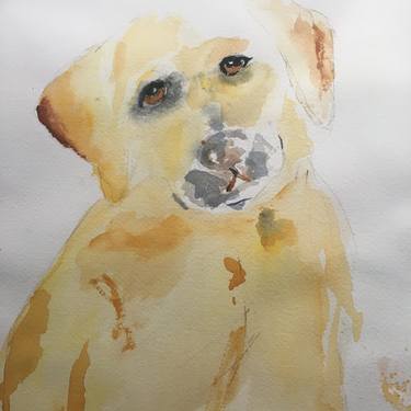 Original Dogs Paintings by Robert Templin
