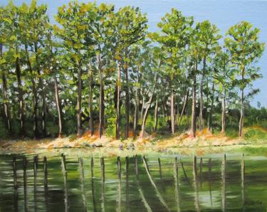 Original Landscape Paintings by Janette Marvin