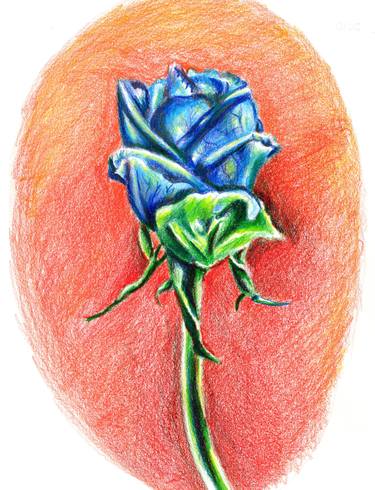 Blue Rose thumb
