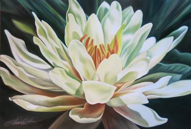 Print of Fine Art Floral Paintings by Barbara Eberhart