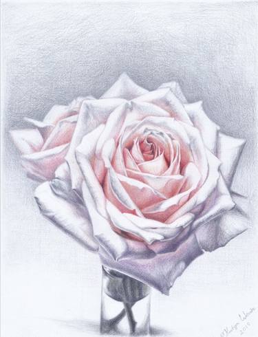 Original Realism Floral Drawings by Ekaterina wentz