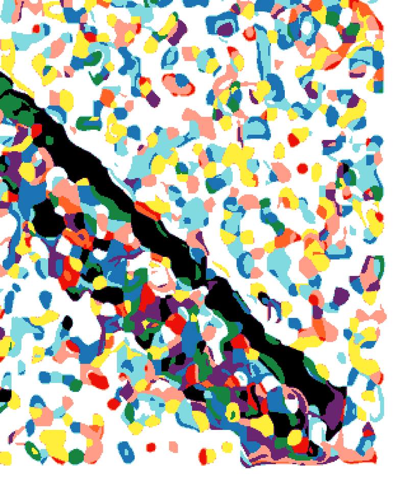 Original Conceptual Still Life Printmaking by Angelo Ambrosi