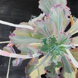 SUCCULENT 1 by Laura Letchinger